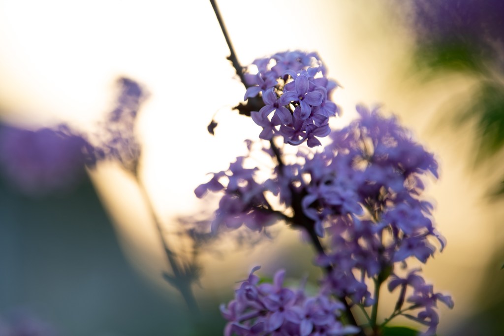 Mother’s Day Reflections in&nbsp;2023