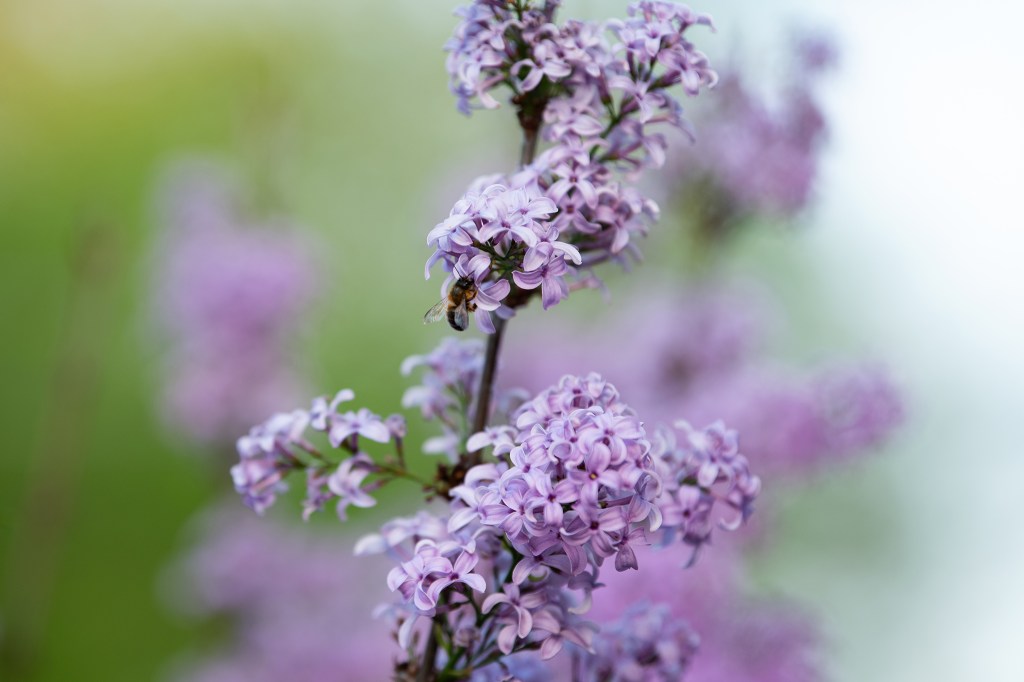 My 5 Favorite Things Right Now | June&nbsp;2023