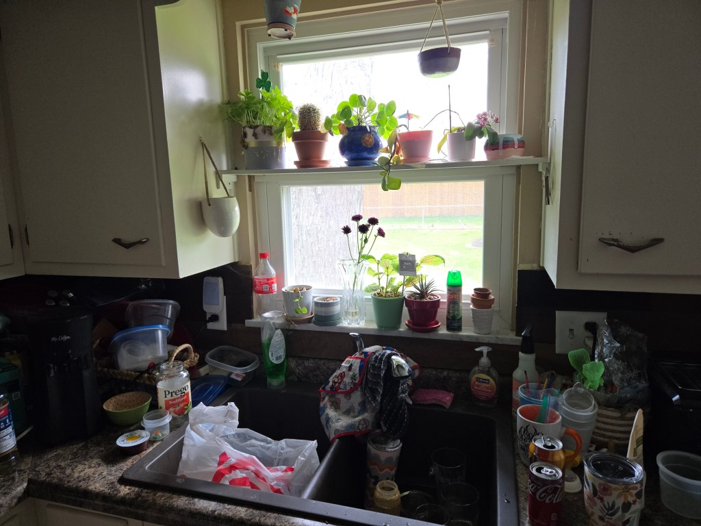 The Kitchen Window
